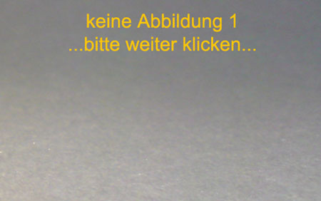 MAN-TGA-XXL-Kipper-Sattelzug_Hochtief_01-06